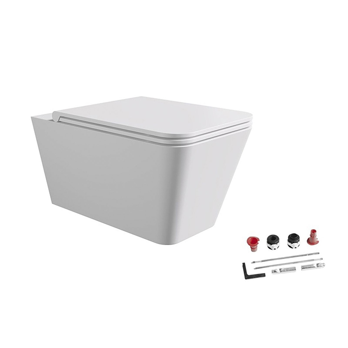 Alice Hide Square Унитаз 55х35см., подвесной, безободковый, с сиденьем и крышкой с микролифтом, с набором для крепления, цвет: белый матовый