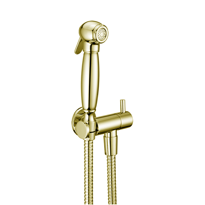 Cisal Shower Гигиенический душ, со шлангом 120см ,вывод с держателем и запорный вентиль, цвет: Oro