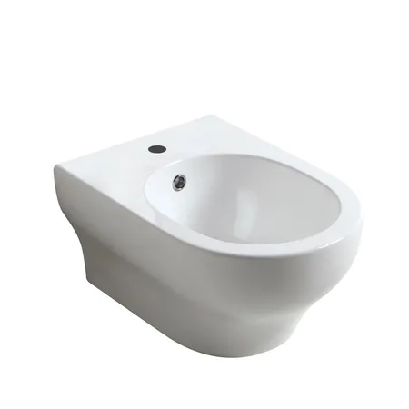 Olympia Clear, подвесное биде 50x36xh30 см, c крепежом, цвет белый глянцевый