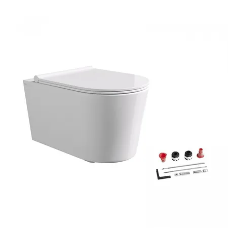 Alice Form Унитаз 50х35см., подвесной, безободковый, с сиденьем и крышкой с микролифтом, с набором для крепления, цвет: белый глянцевый