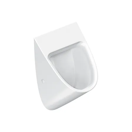 Catalano Comfort Писсуар 54x30см, цвет: белый глянцевый