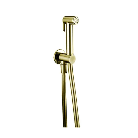 Cisal Shower Гигиенический душ, со шлангом 120см, вывод с держателем, цвет: золото