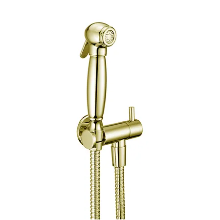 Cisal Shower Гигиенический душ, со шлангом 120см ,вывод с держателем и запорный вентиль, цвет: Oro