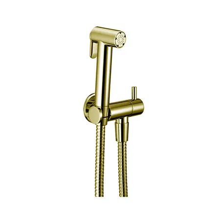 Cisal Shower Гигиенический душ, со шлангом 120см, вывод с держателем, цвет: золото