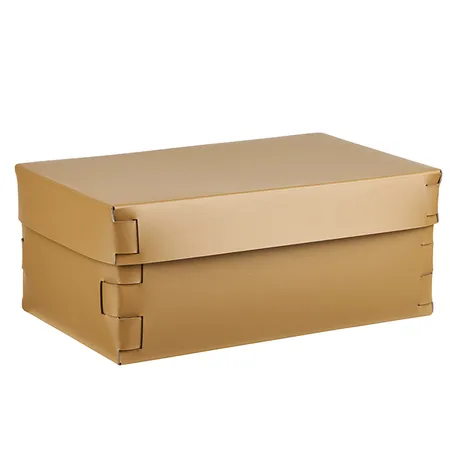 Colombo Adj Коробка Snob 32x20хH13.5см., настольная, цвет: горчичный/оливковый