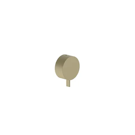 Fantini AF/21 Смеситель для душа, встраиваемый, на 1 источник, цвет: Matt British Gold PVD
