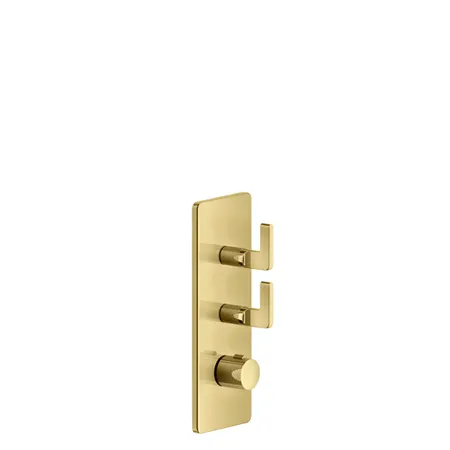 Gessi Inciso Смеситель для душа, термостатический, встраиваемый, резьба 3/4", внешняя часть, цвет: золото