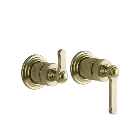 Gessi Venti20 Смеситель для душа, встраиваемый, с переключателем на 2 положения, внешняя часть, цвет: Brushed Brass PVD