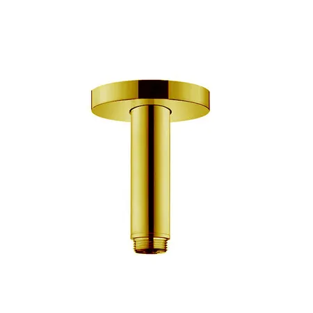 Hansgrohe Потолочное подсоединение верхнего душа 100мм, цвет: золото