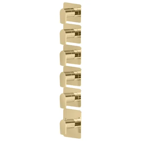 Newform Haka Смеситель для душа, термостатический, на 5 потоков, цвет: PVD brushed gold