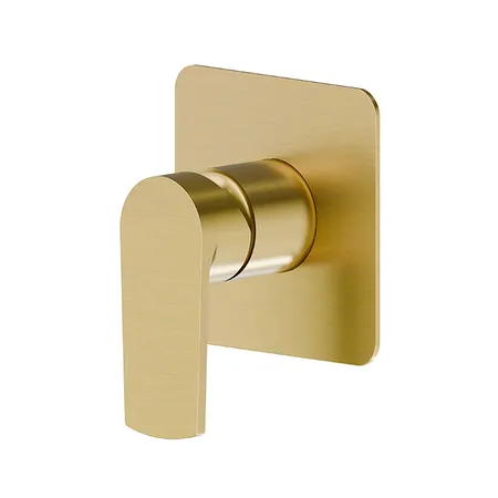Newform Haka Смеситель для душа, встраиваемый, на 1 поток, цвет: PVD brushed gold