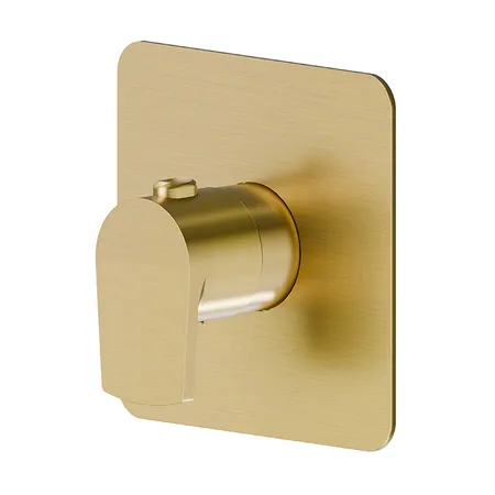 Newform Haka Смеситель для душа, встраиваемый, термостатический, цвет: PVD brushed gold
