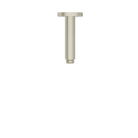 Newform Head Showers Душевой кронштейн 12см, потолочный, закругленный, цвет: PVD brushed pale gold