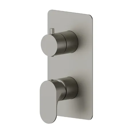 Newform Linfa II Смеситель для душа, встраиваемый, 2 потока, внешняя часть, цвет: titanium satin