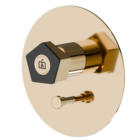 Newform ParkLE Смеситель для душа, встраиваемый, на 2 потока, цвет: PVD glossy gold/черный матовый