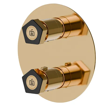 Newform ParkLE Смеситель для душа, встраиваемый, термостатический, цвет: PVD glossy gold/черный матовый