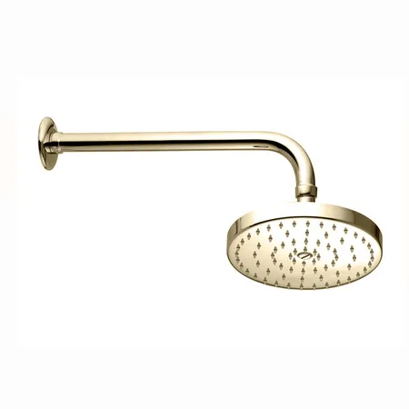 Nicolazzi Doccia Верхний душ, Ø 20см, цвет: Polished Nickel